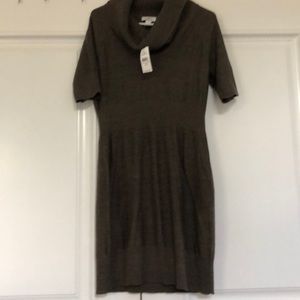 Loft sweater dress